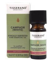 Camphor White Ethically Harvested - Olejek z Białej Kamfory (9 ml)