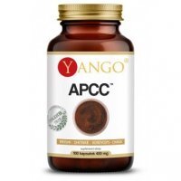 Yango Apcc 100 K. Kompleks Grzybów